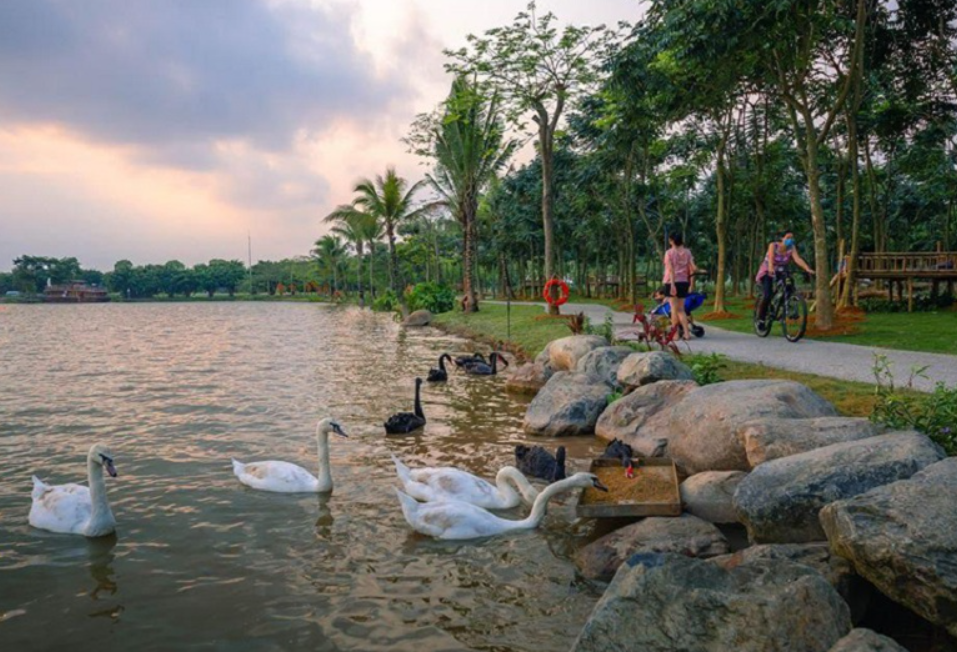 Công viên ven sông Ecopark Bến Lức(hình minh họa)